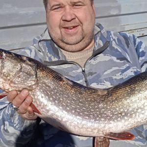 Алексей