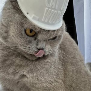 Константин