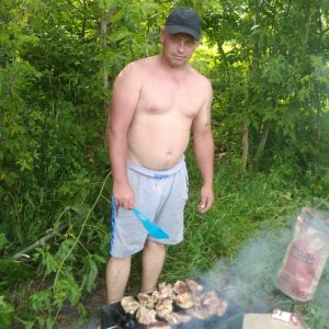 Алексей здравст